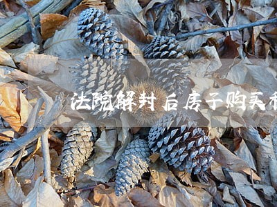 法院解封后房子购买稳妥吗