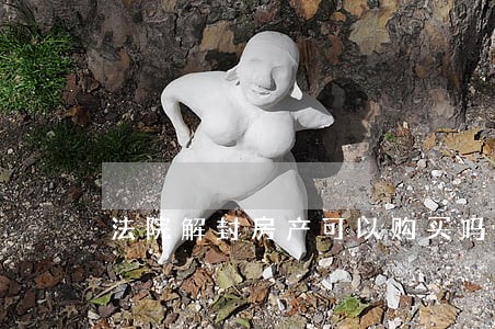 法院解封房产可以购买吗 法院解封房产可以购买吗