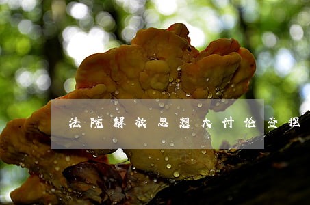 法院解放思想大讨论查摆问题 法院解放思想大讨论查摆问题