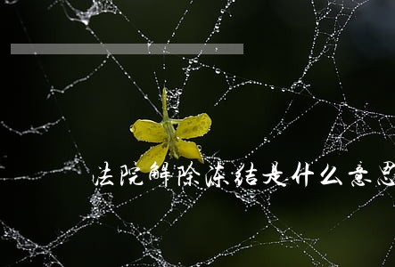 法院解除冻结是什么意思 法院解除冻结是什么意思