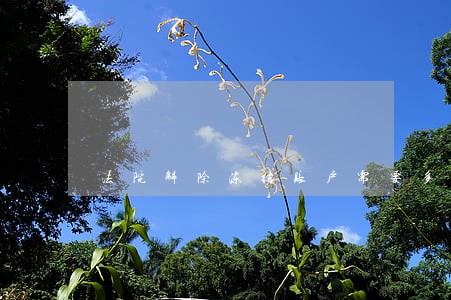 法院解除冻结账户需要多久 法院解除冻结账户需要多久