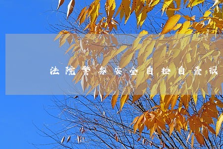 法院警务安全自检自查报告范文 法院警务安全自检自查报告范文