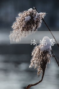 法院警务安全隐患排查整改简报 法院警务安全隐患排查整改简报