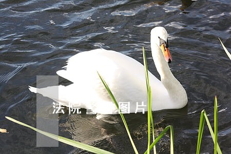 法院警号图片 法院警号图片