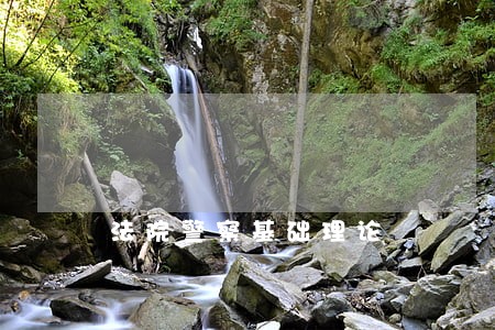 法院警察基础理论 法院警察基础理论