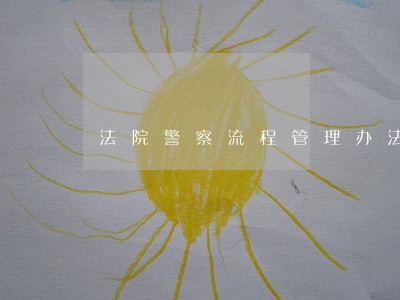 法院警察流程管理办法 法院警察流程管理办法