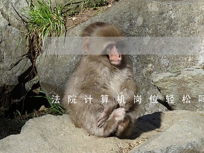 法院计算机岗位轻松吗