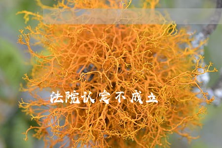 法院认定不成立 法院认定不成立