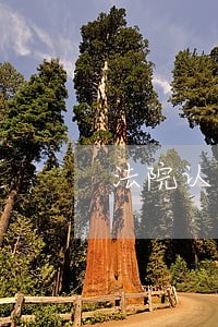 法院认定中介与房东共担责 法院认定中介与房东共担责