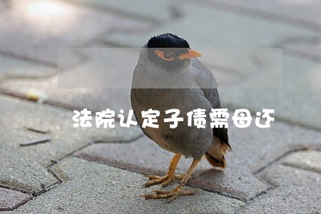 法院认定子债需母还 法院认定子债需母还