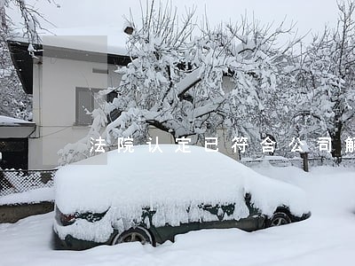 法院认定已符合公司解散情形 法院认定已符合公司解散情形