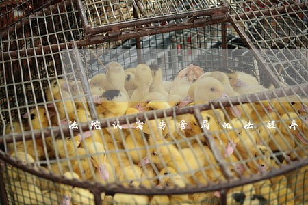 法院认定房管局执法程序严重违法 法院认定房管局执法程序严重违法