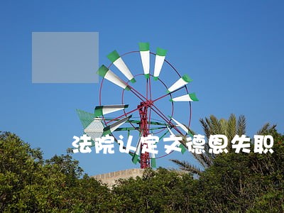 法院认定文德恩失职 法院认定文德恩失职
