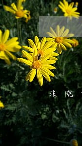 法院认定适用法律规范不当 法院认定适用法律规范不当