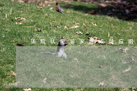 法院认定非家庭成员应退还 法院认定非家庭成员应退还