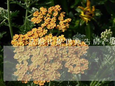 法院让提供原告房产证做什么 法院让提供原告房产证做什么