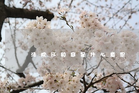 法院议和庭是什么意思 法院议和庭是什么意思