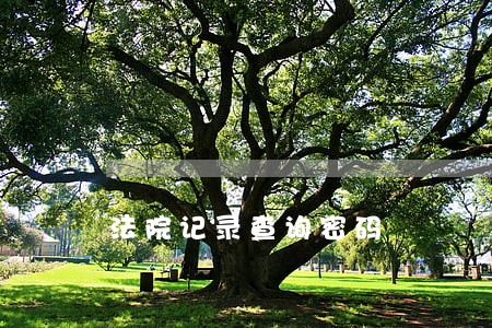 法院记录查询密码