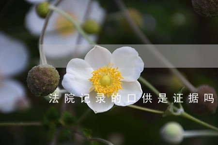 法院记录的口供是证据吗 法院记录的口供是证据吗