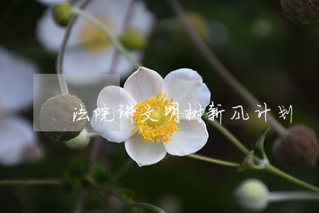 法院讲文明树新风计划 法院讲文明树新风计划
