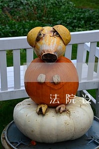 法院设立诉讼保全责任保险窗口 法院设立诉讼保全责任保险窗口