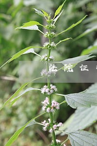 法院证据交换后的流程 法院证据交换后的流程