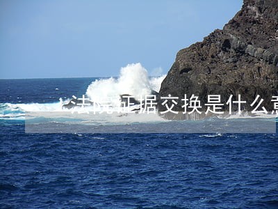 法院证据交换是什么意思