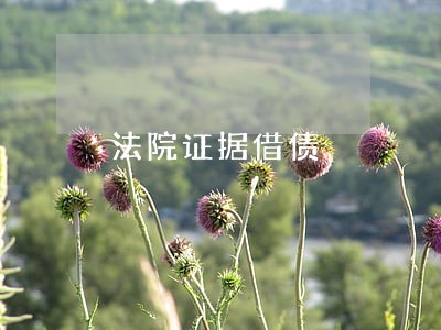 法院证据借债 法院证据借债