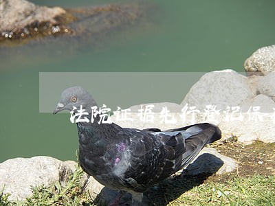 法院证据先行登记保存 法院证据先行登记保存