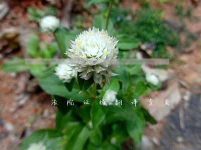 法院证据翻译资质 法院证据翻译资质