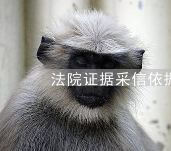 法院证据采信依据 法院证据采信依据
