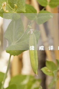 法院评估155万 法院评估155万