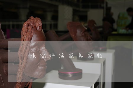 法院评估家具家电 法院评估家具家电