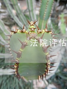 法院评估房产价格低