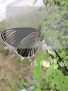 法院评估拍卖的时长规定 法院评估拍卖的时长规定
