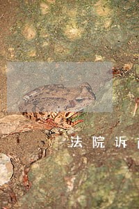 法院诉前保全冻结有没有期限 法院诉前保全冻结有没有期限