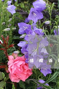 法院诉讼保全查封物可以转换吗 法院诉讼保全查封物可以转换吗
