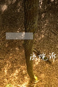 法院诉讼保全费用计算 法院诉讼保全费用计算