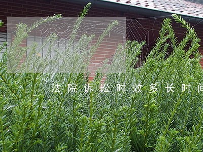 法院诉讼时效多长时间 法院诉讼时效多长时间