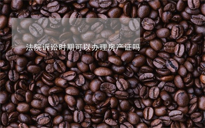 法院诉讼时期可以办理房产证吗 法院诉讼时期可以办理房产证吗