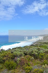 法院诉讼是什么