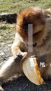 法院诉讼案件增长速度 法院诉讼案件增长速度