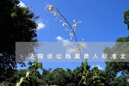 法院诉讼档案录入标准文件 法院诉讼档案录入标准文件