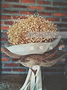 法院诉讼申请书范文 法院诉讼申请书范文