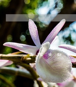 法院诉讼管辖金额