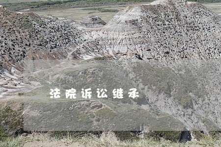 法院诉讼继承 法院诉讼继承