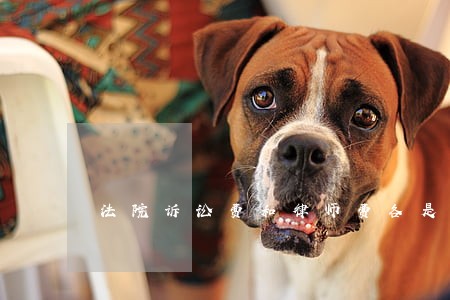法院诉讼费和律师费各是多少 法院诉讼费和律师费各是多少