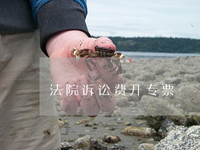 法院诉讼费开专票 法院诉讼费开专票