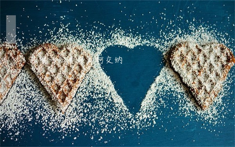 法院诉讼费该如何交纳 法院诉讼费该如何交纳