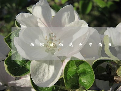 法院诉讼退费申请书 法院诉讼退费申请书